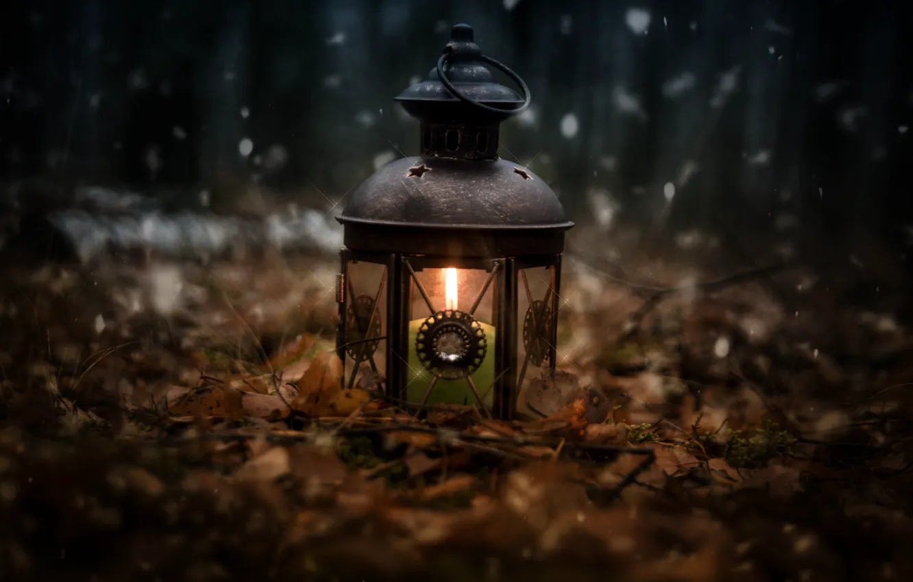 Photo wallpaper forest, snow, nature, lights, mood, holiday, lights, different