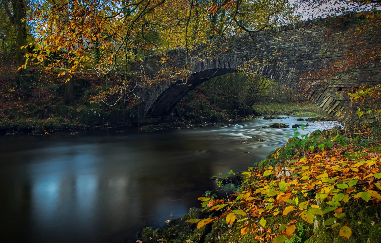 Photo wallpaper autumn, leaves, branches, bridge, river, England, England, The lake district