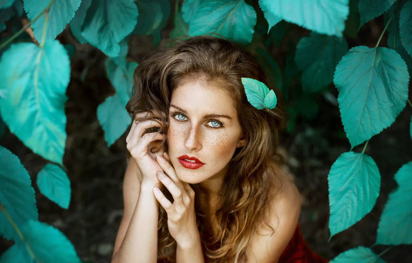 Photo wallpaper look, leaves, face, mood, hair, hands, freckles, Ronny Garcia