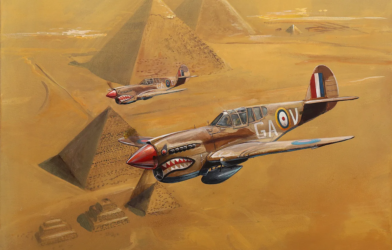Photo wallpaper piston fighter, P-40 Kittyhawk, Military aircraft, P-40E Warhawk, Pyramids in Egypt
