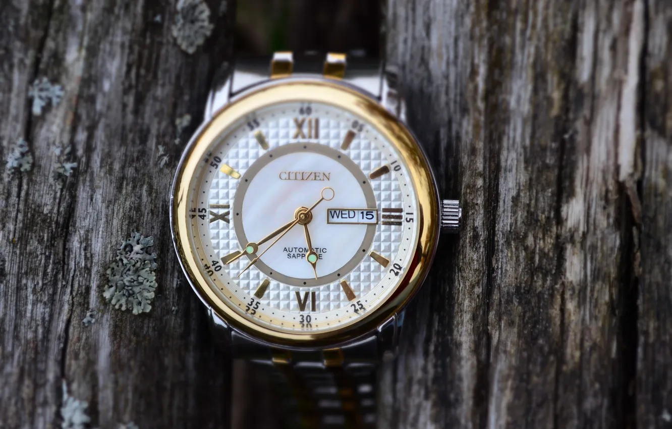 Photo wallpaper macro, trees, watch