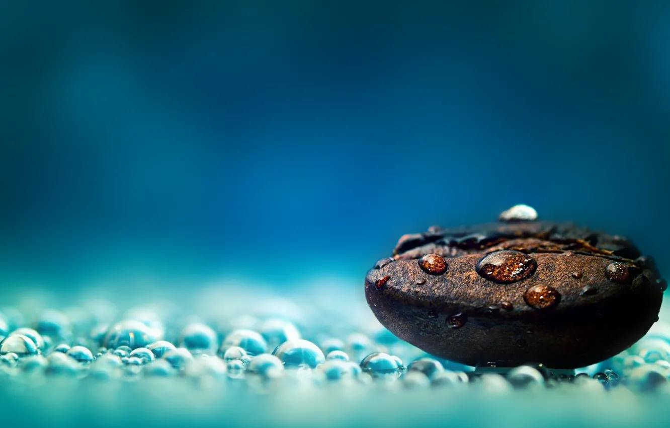 Photo wallpaper coffe, grain, seed, Minimalistic