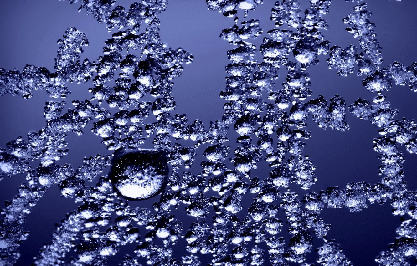 Photo wallpaper ice, drops, web