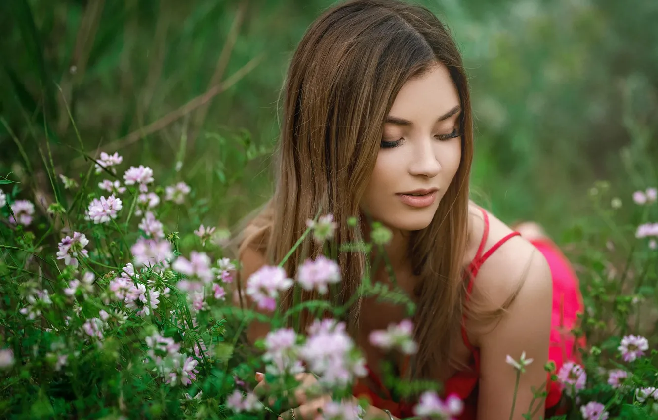 Photo wallpaper grass, girl, flowers, dress, Sergey Gokk