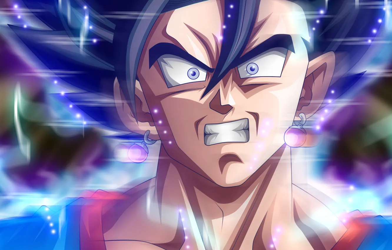 Photo wallpaper fighting, Ball Fighter Z, Vegito Dragon