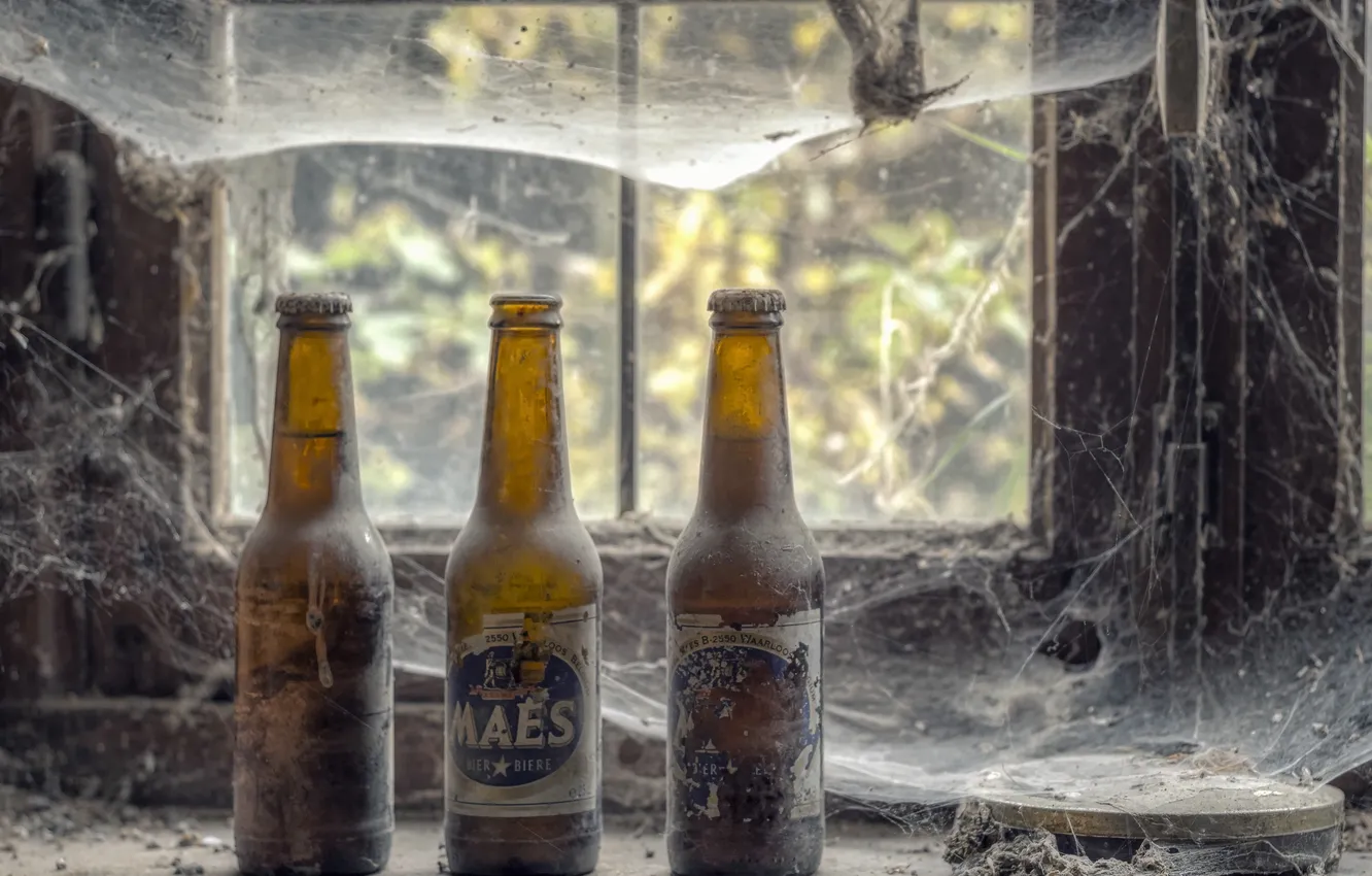 Photo wallpaper beer, web, window, bottle