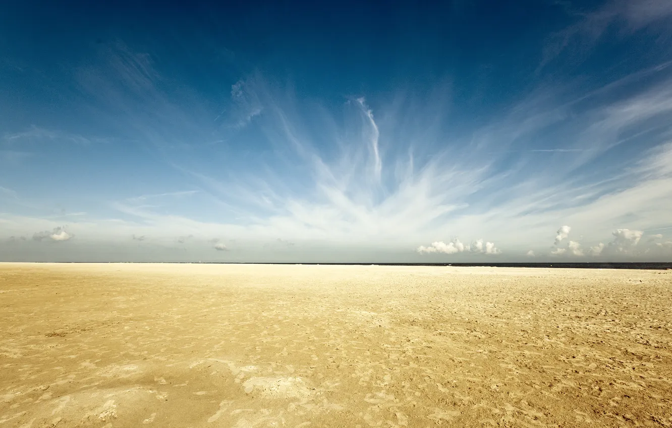 Photo wallpaper the sun, nature, Heath