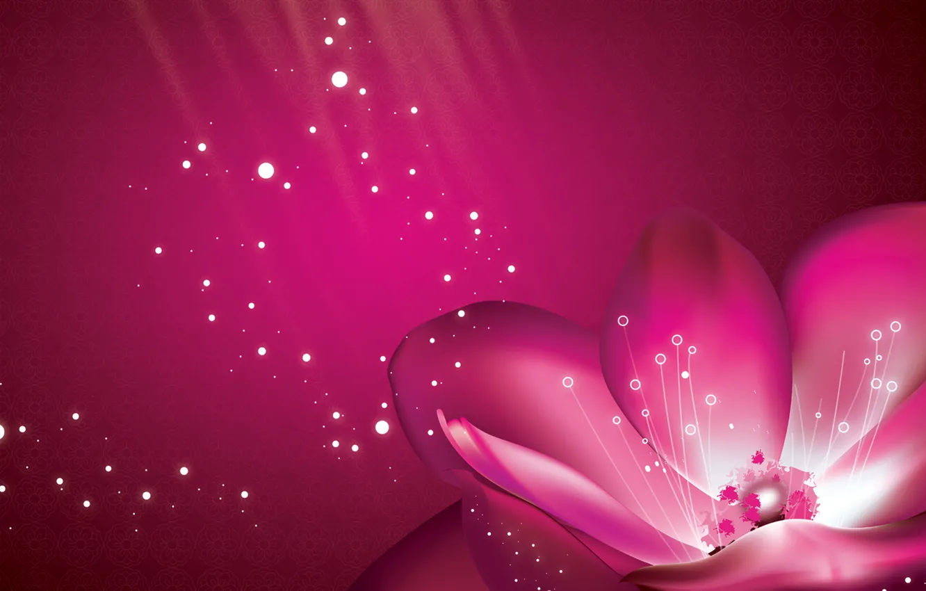 Photo wallpaper flower, background, pink, petals, purple