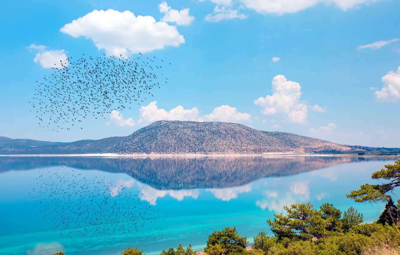 Photo wallpaper lake, birds, hill, Lake Salda