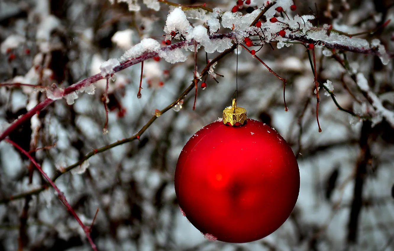 Photo wallpaper ice, winter, red, toy, ball, branch, ball, New Year
