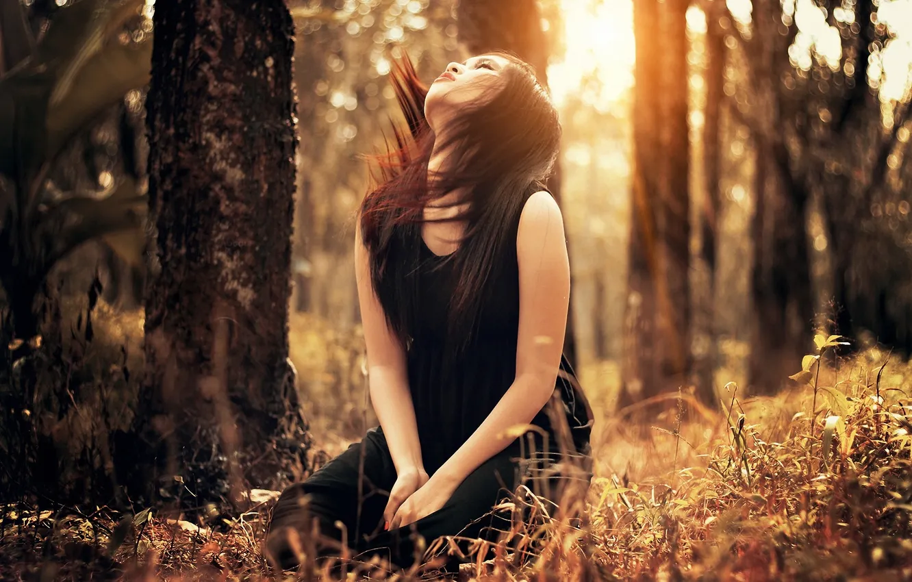 Photo wallpaper forest, girl, trees, sunset, brown hair, Asian