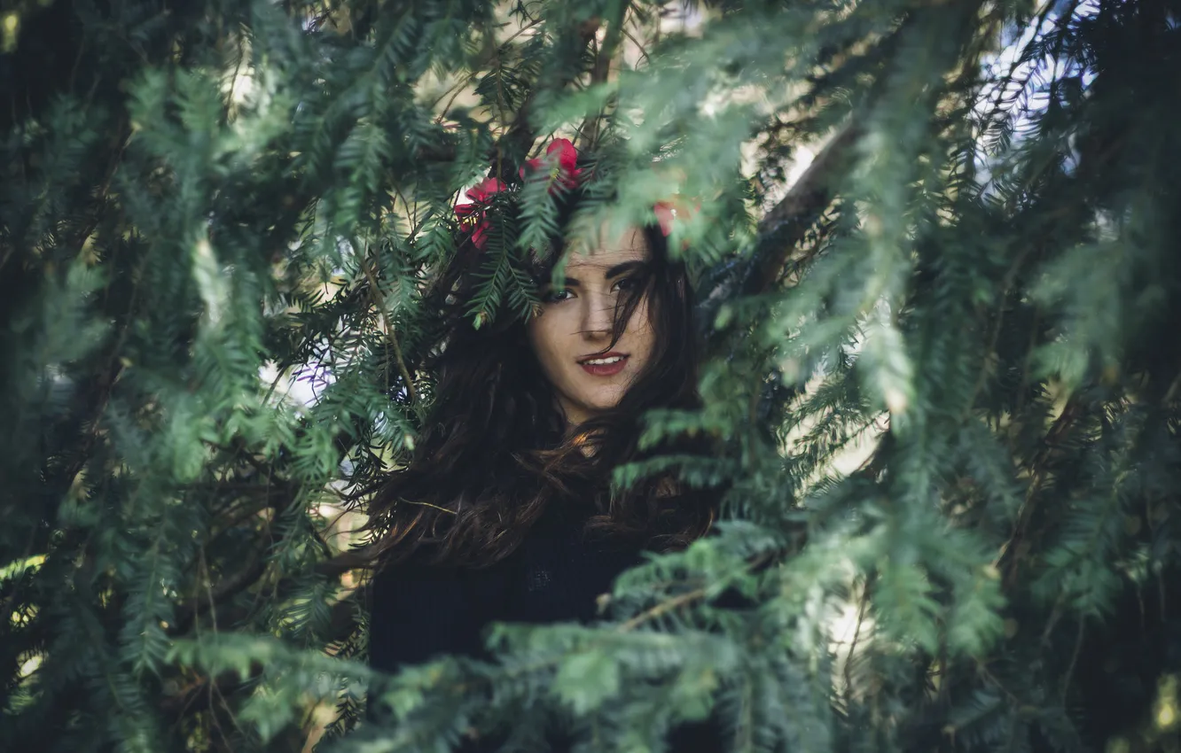 Photo wallpaper girl, branches, brunette