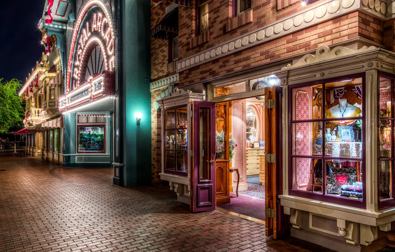 Photo wallpaper night, lights, Park, street, home, CA, USA, Disneyland