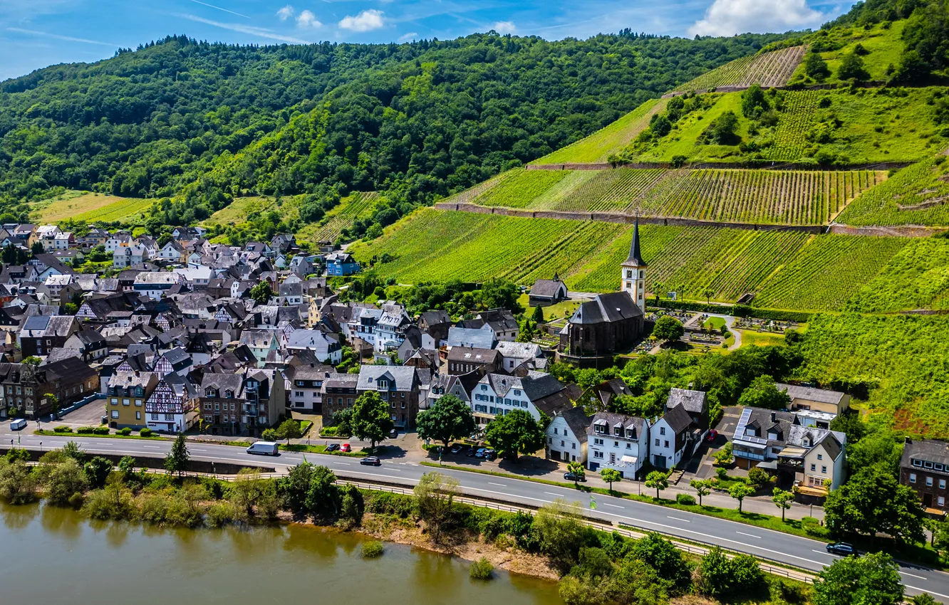 Photo wallpaper building, Germany, vineyard, Mosel