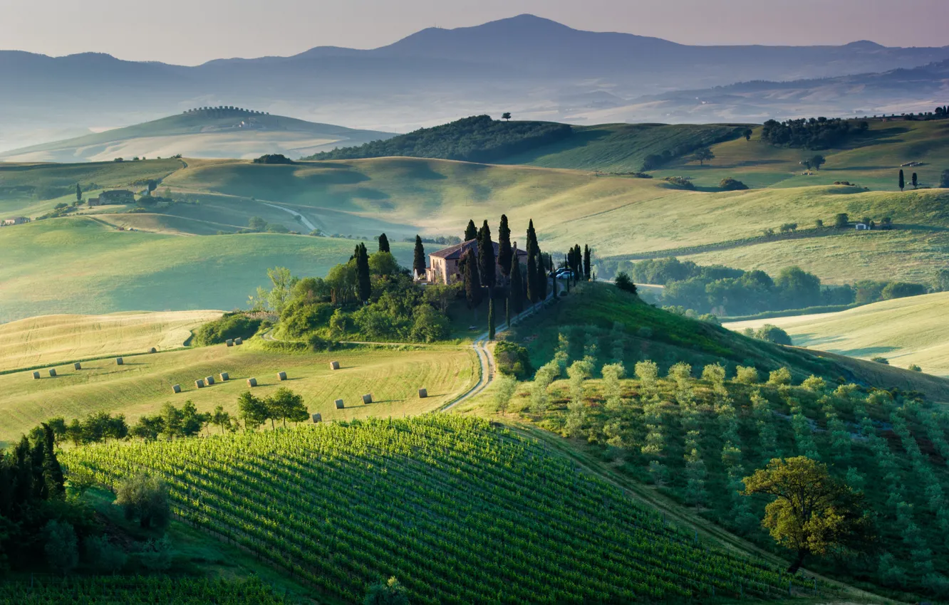 Photo wallpaper trees, house, field, Italy, the vineyards, Tuscany