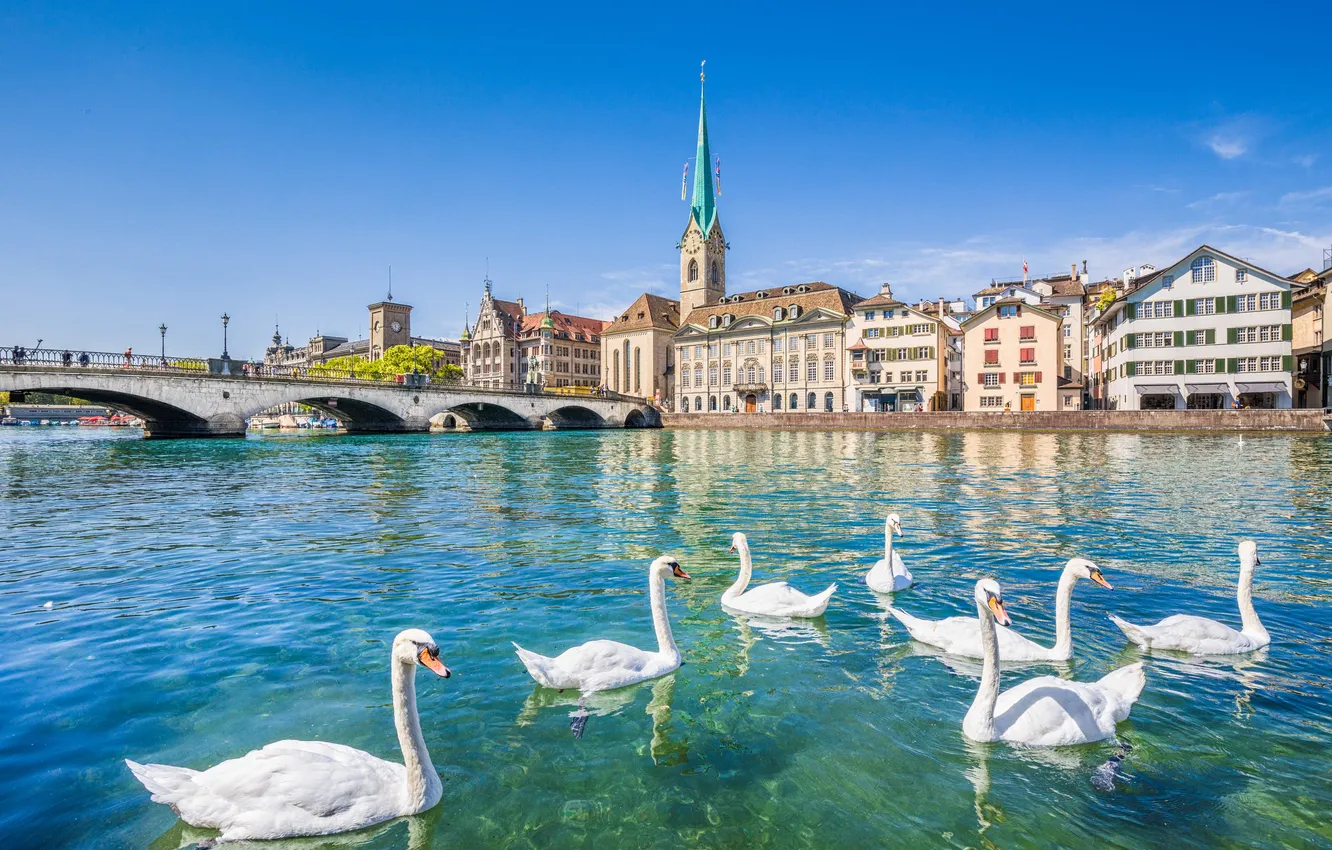 Photo wallpaper the sky, bridge, the city, blue, bird, tower, pack, Switzerland
