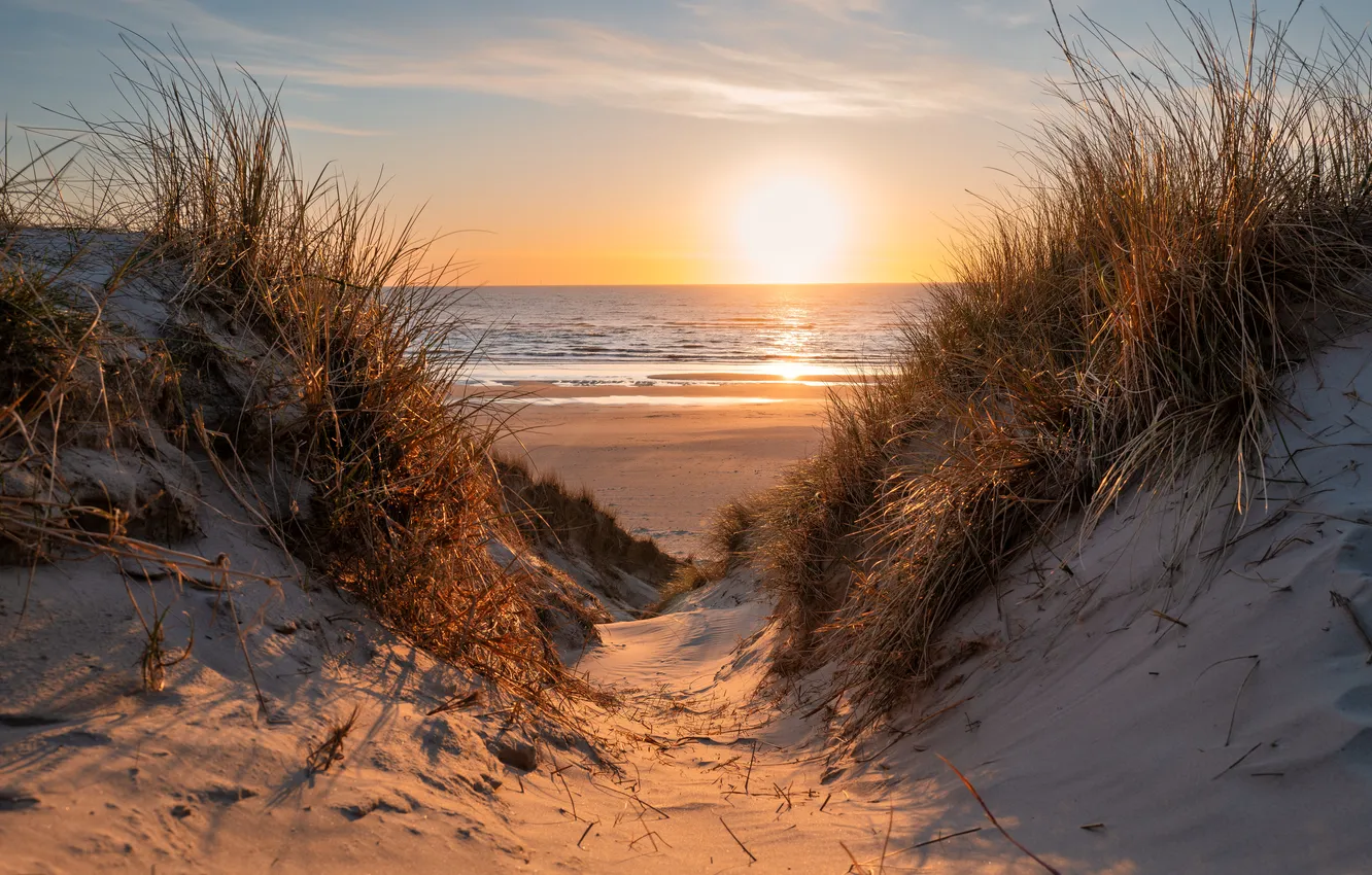 Photo wallpaper sea, dunes, shore, beach, sunset
