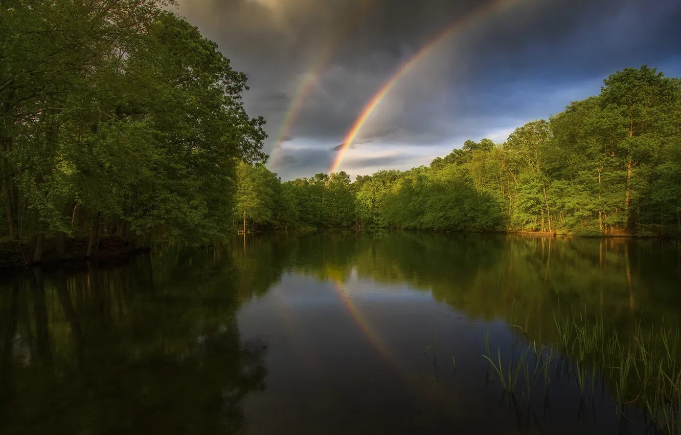 Photo wallpaper forest, light, clouds, lake, reflection, shore, rainbow