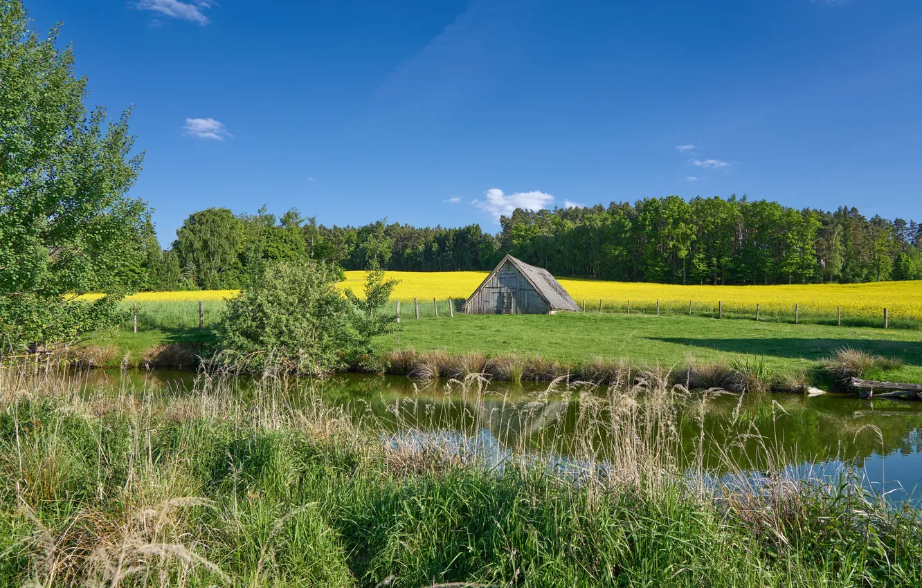 Photo wallpaper field, river, shed
