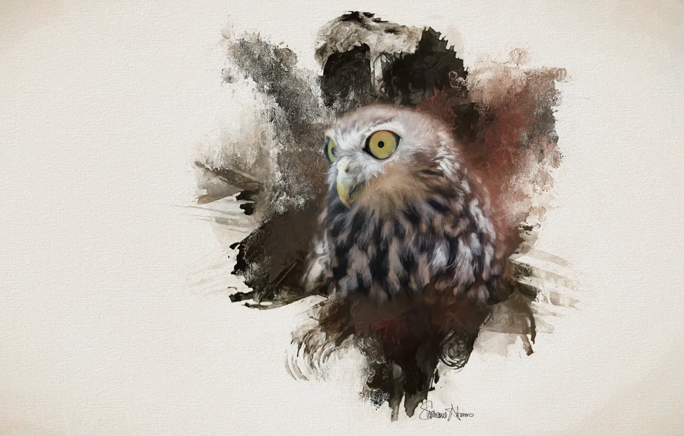 Photo wallpaper eyes, background, owl, bird