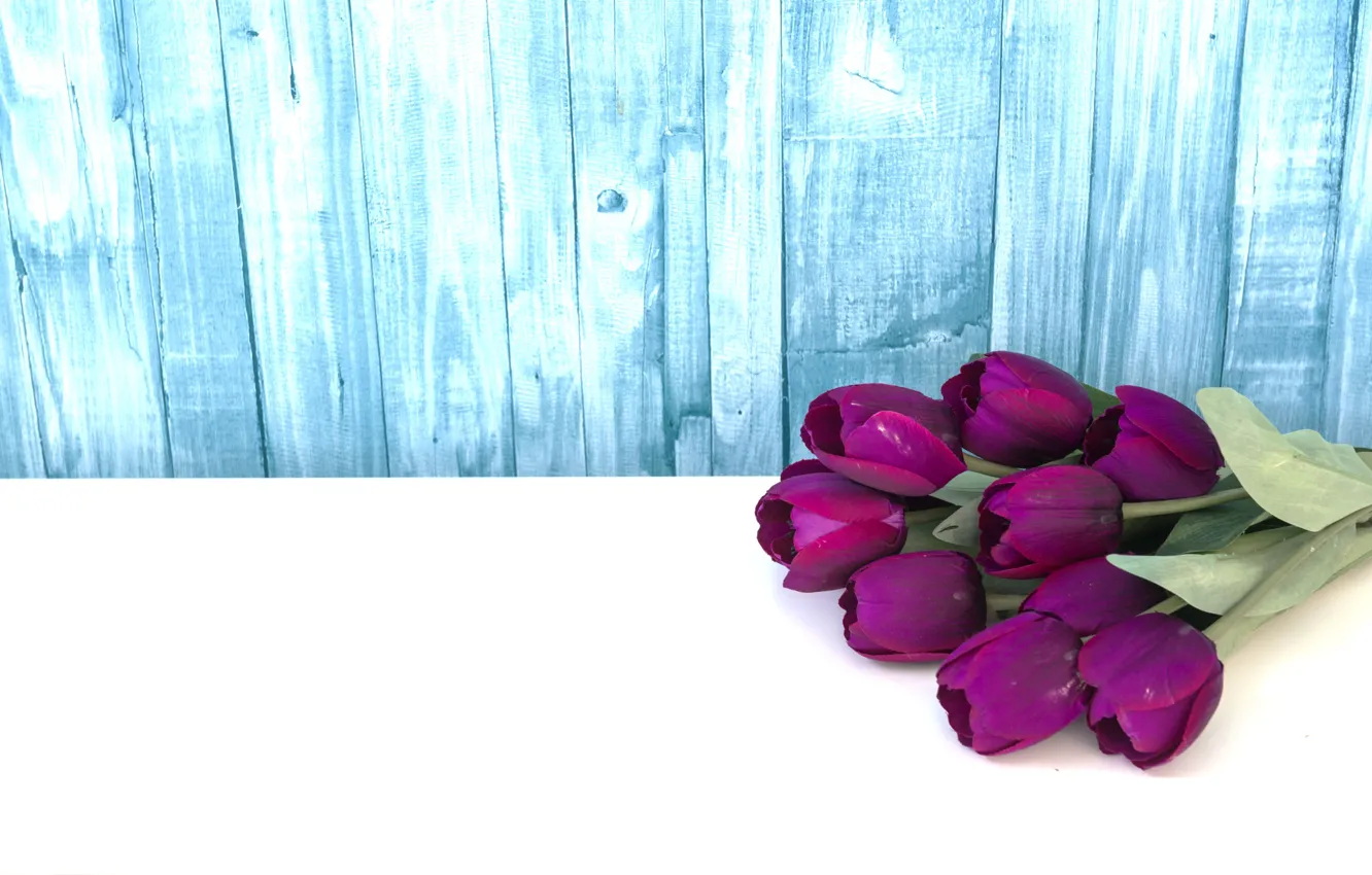Photo wallpaper flowers, purple, tulips, fresh, wood, flowers, tulips, purple