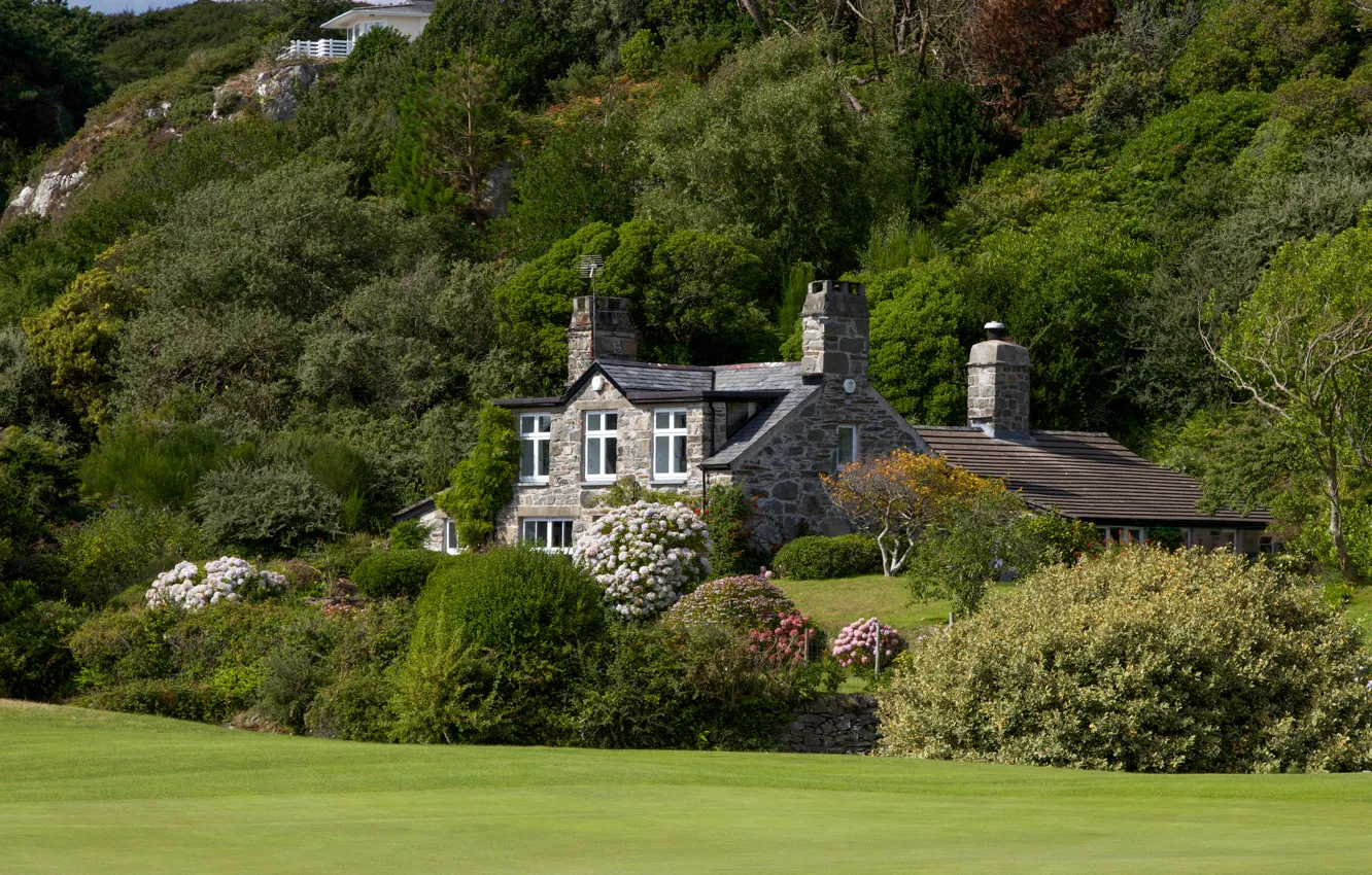 Photo wallpaper greens, trees, flowers, hills, home, garden, slope, UK