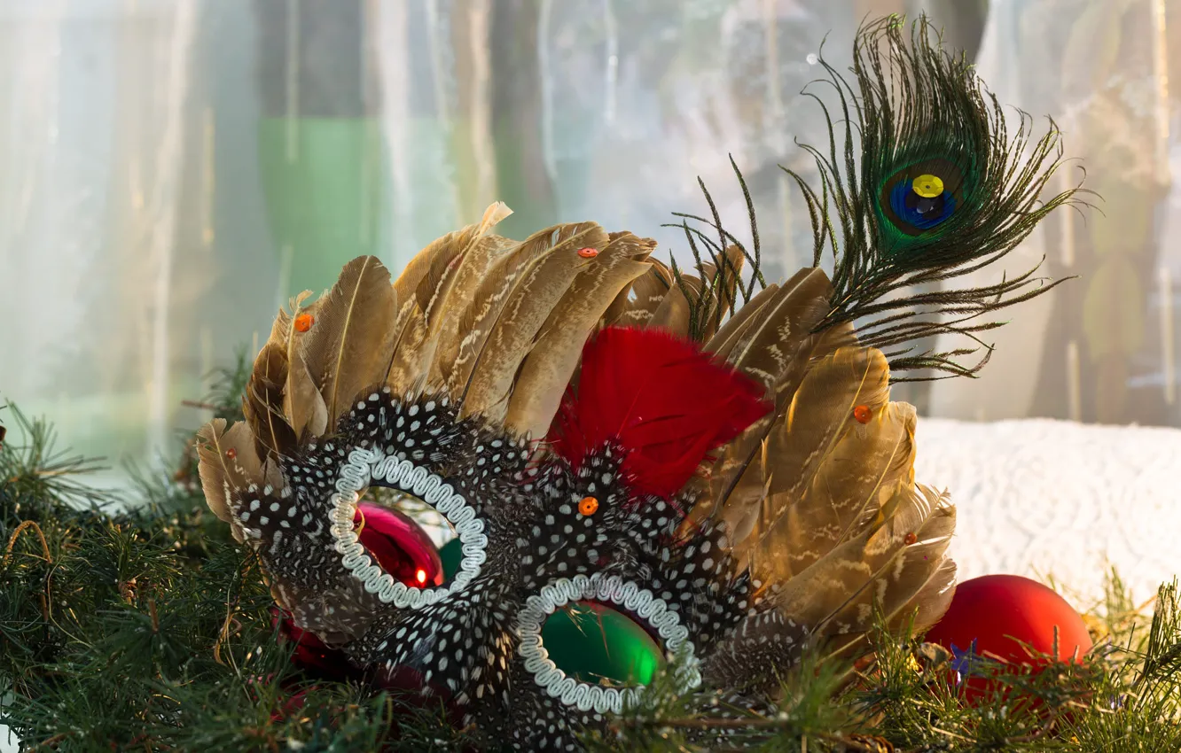 Photo wallpaper winter, branches, pen, holiday, feathers, mask, Christmas, New year