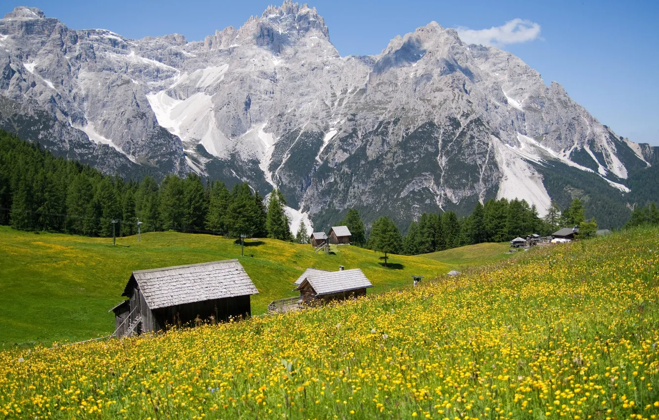 Photo wallpaper landscape, flowers, mountains, nature, beauty, Alps, lawn