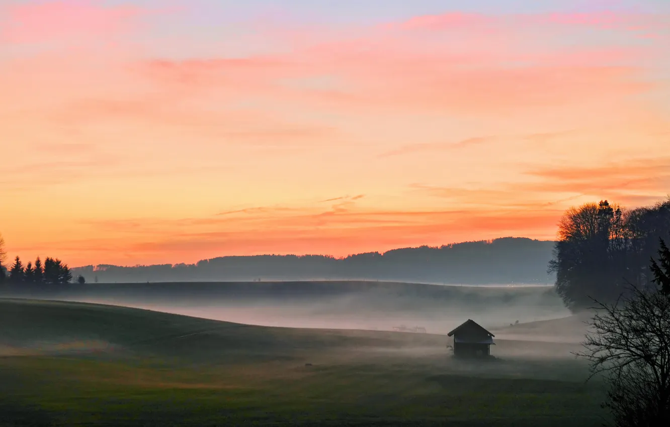 Photo wallpaper field, landscape, fog, morning, house