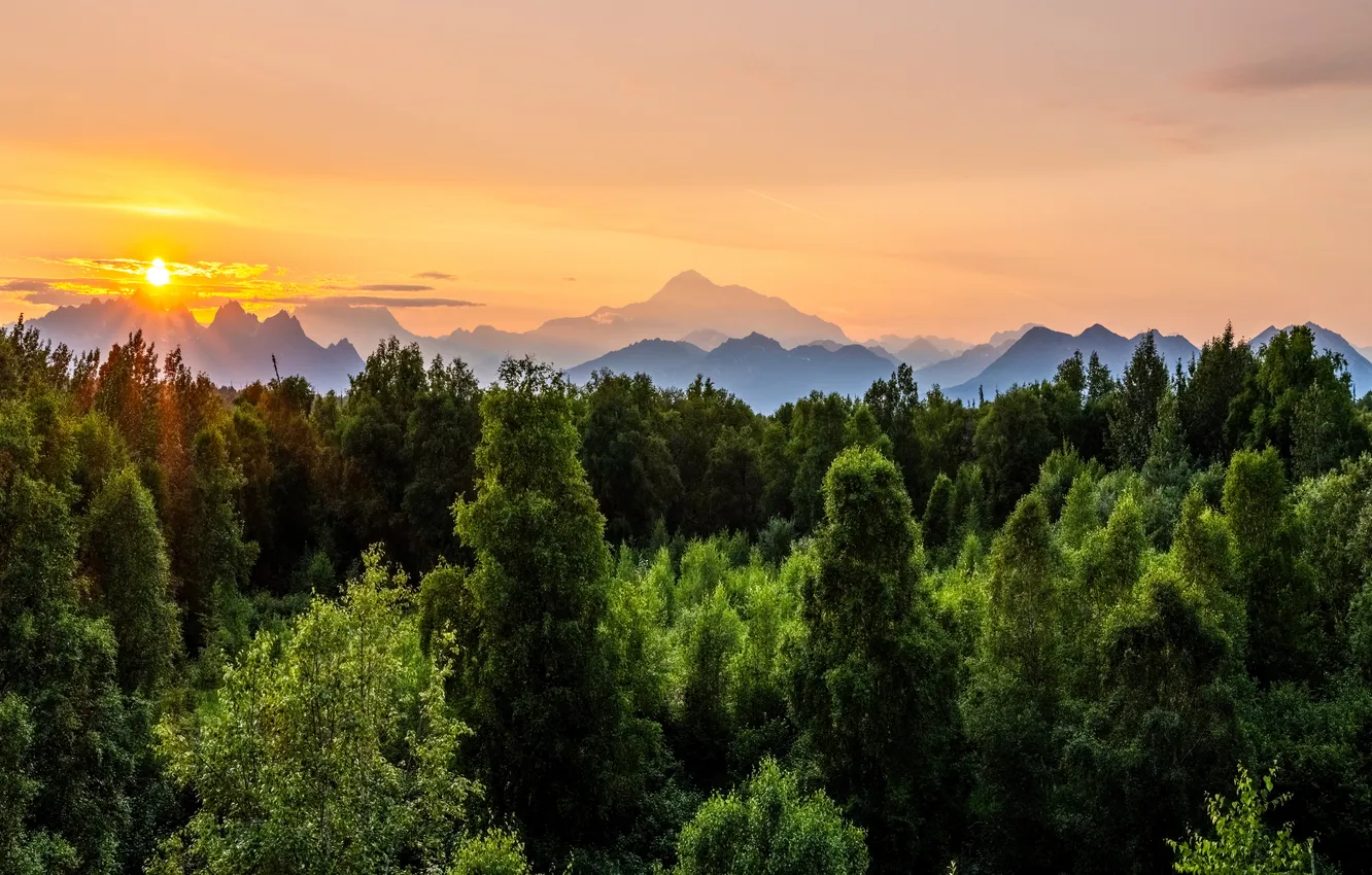 Photo wallpaper forest, landscape, sunset, nature, dawn, USA, Denali National Park