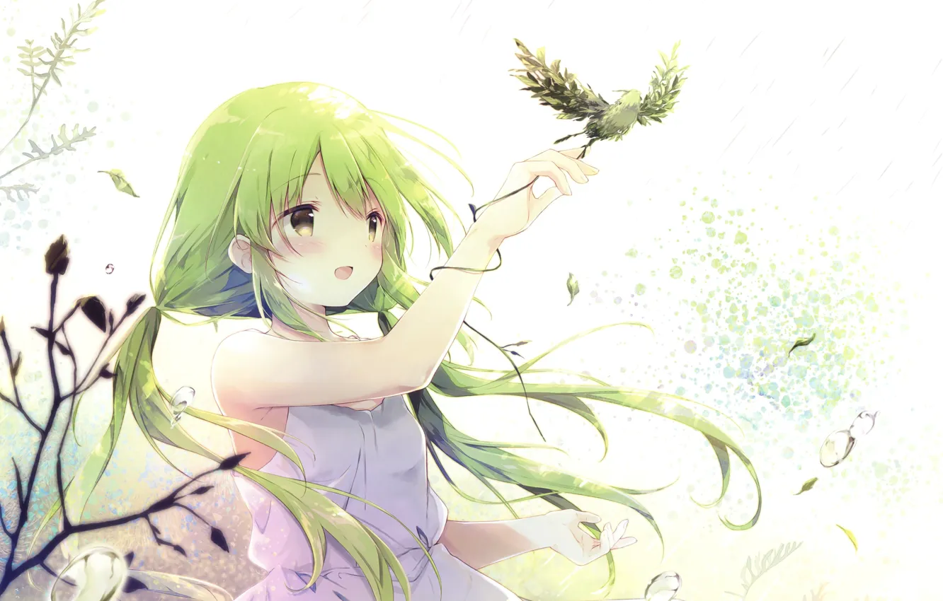 Photo wallpaper Bird, Girl, Anime, Green hair