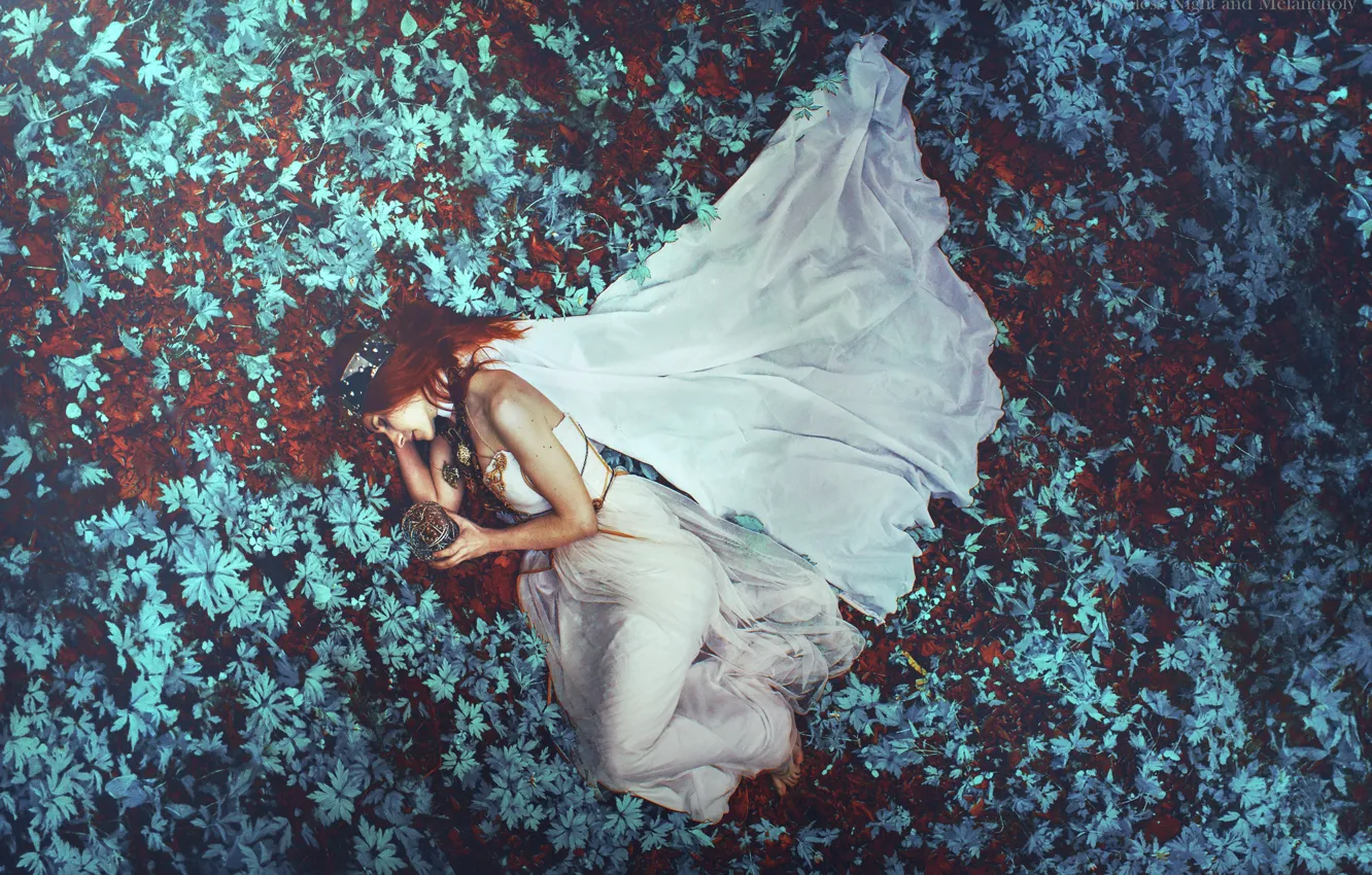 Photo wallpaper grass, girl, mood, dress, Princess