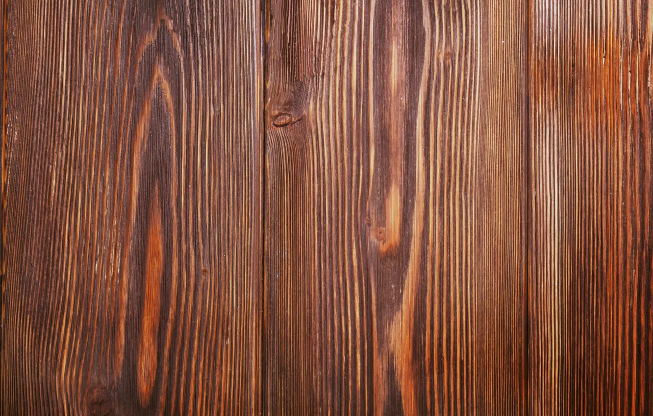 Photo wallpaper color, wood, texture