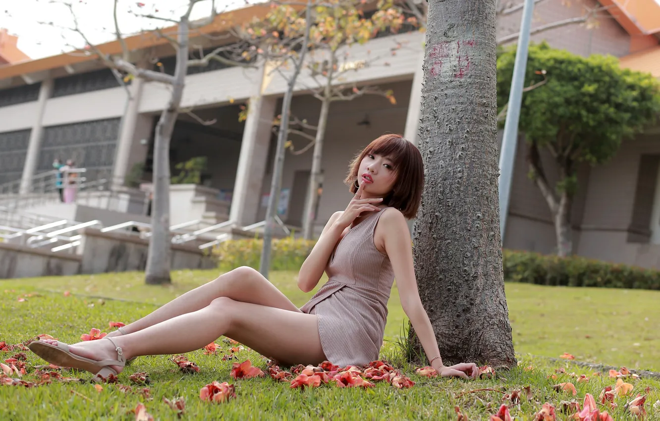 Photo wallpaper look, trees, pose, lawn, model, portrait, makeup, figure