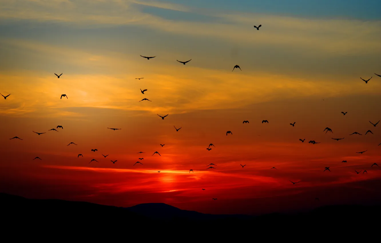 Photo wallpaper landscape, sunset, nature, The bloody sky