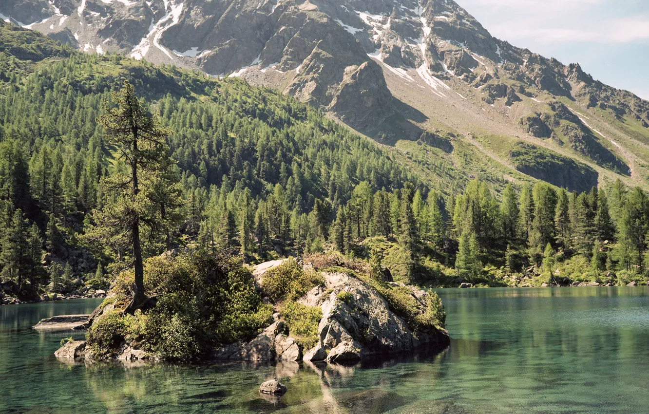 Photo wallpaper trees, mountains, lake, island