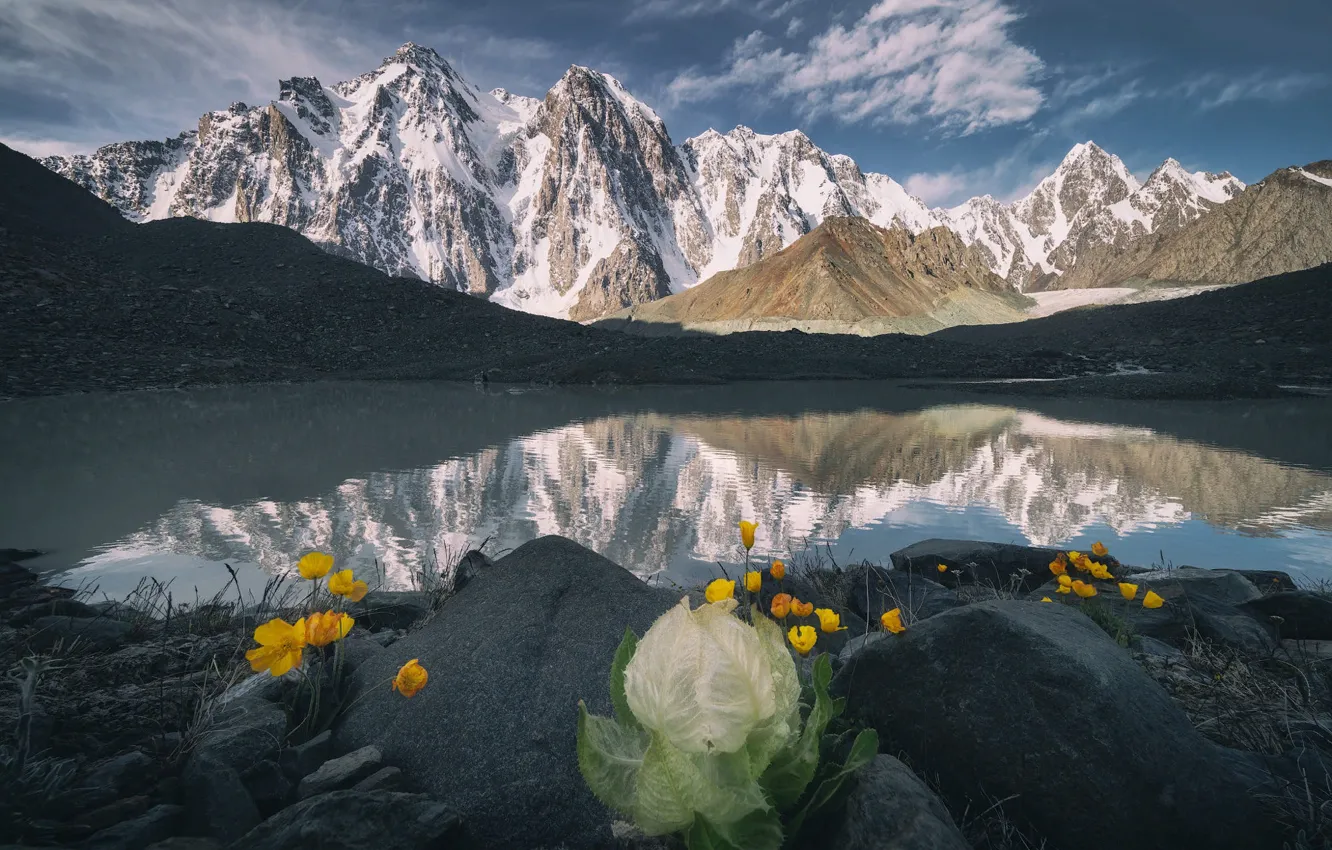 Photo wallpaper landscape, flowers, mountains, nature, lake, stones, vegetation, snow