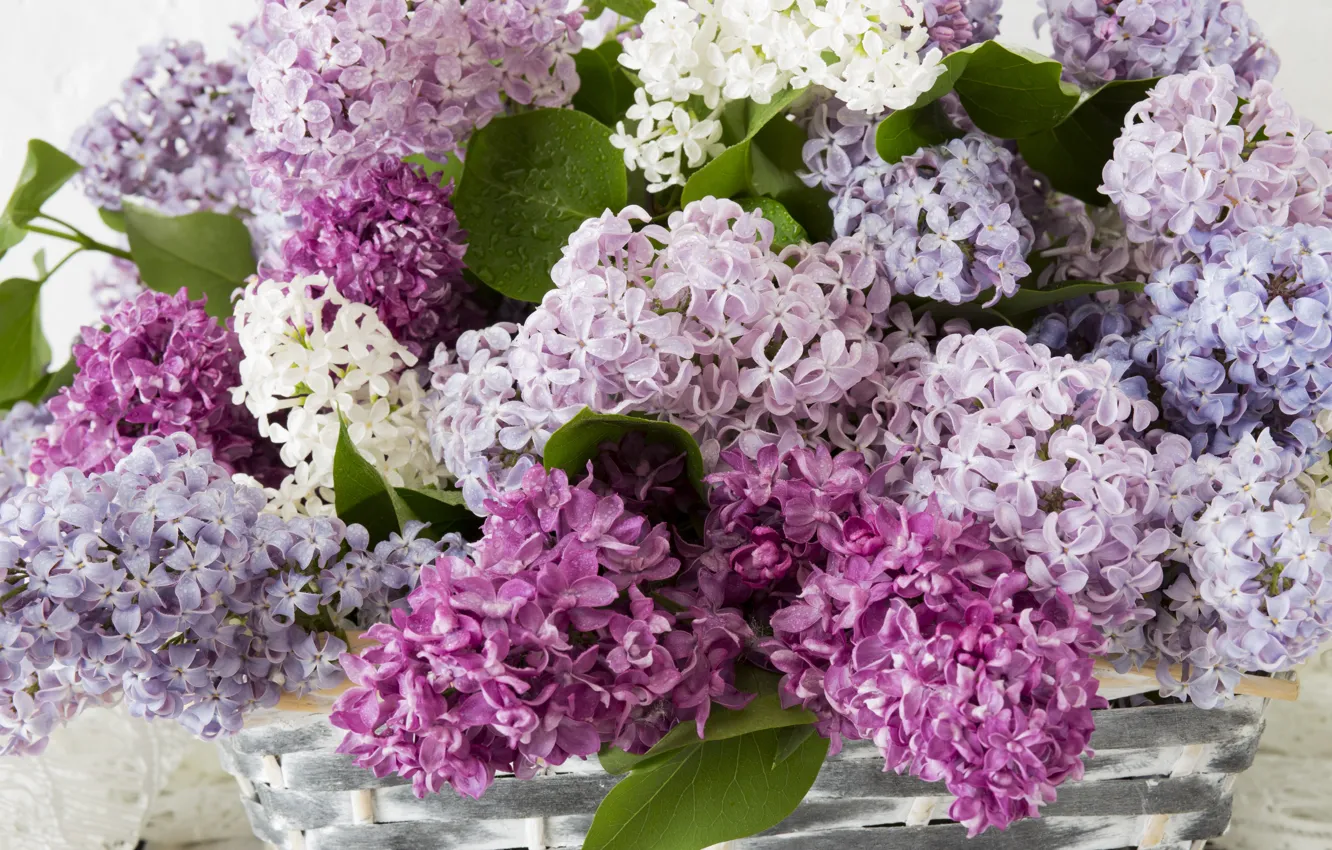 Photo wallpaper white, bouquet, pink, basket, lilac