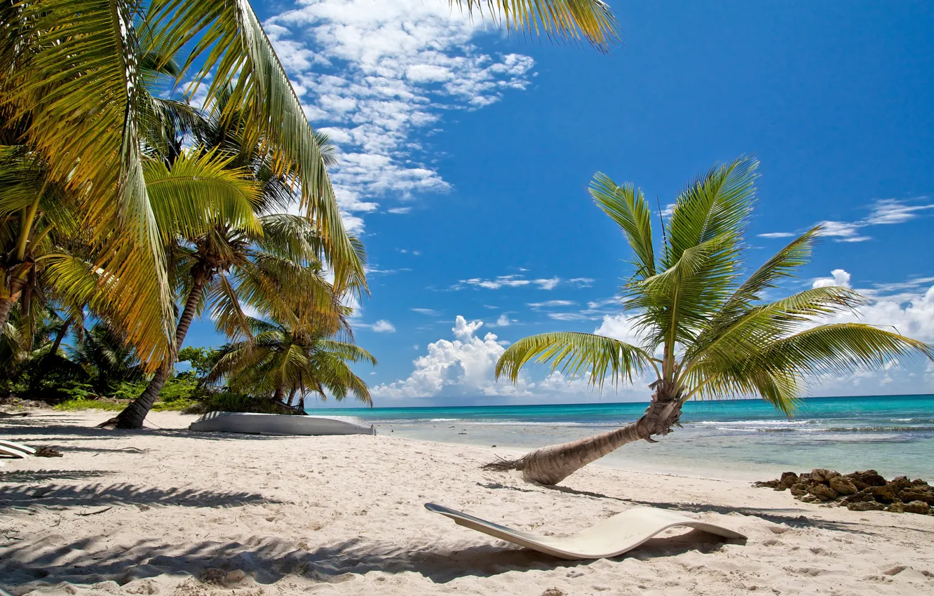 Photo wallpaper sand, sea, beach, palm trees, shore, summer, beach, sea