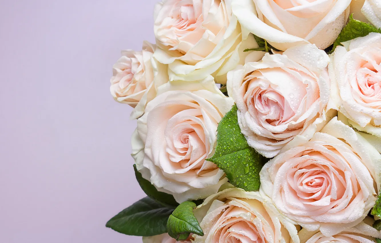 Photo wallpaper flowers, roses, bouquet