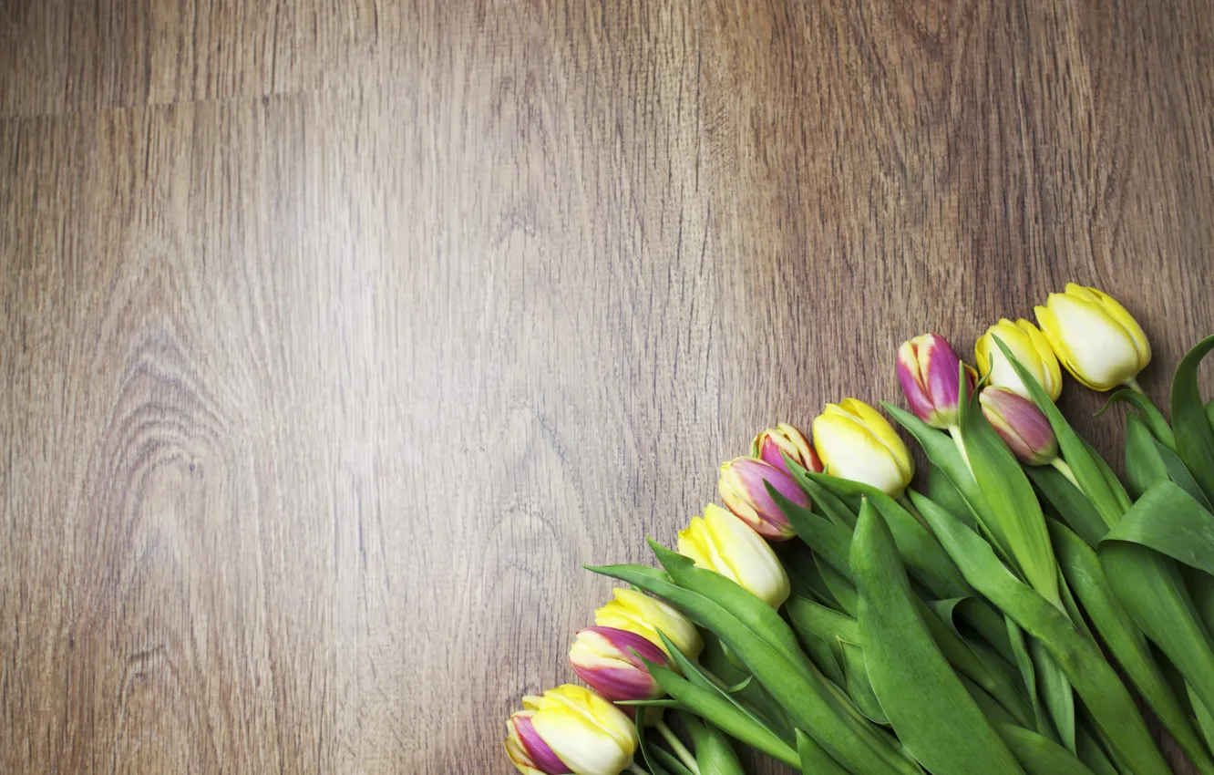 Photo wallpaper tulips, flowers, tulips, bouquet