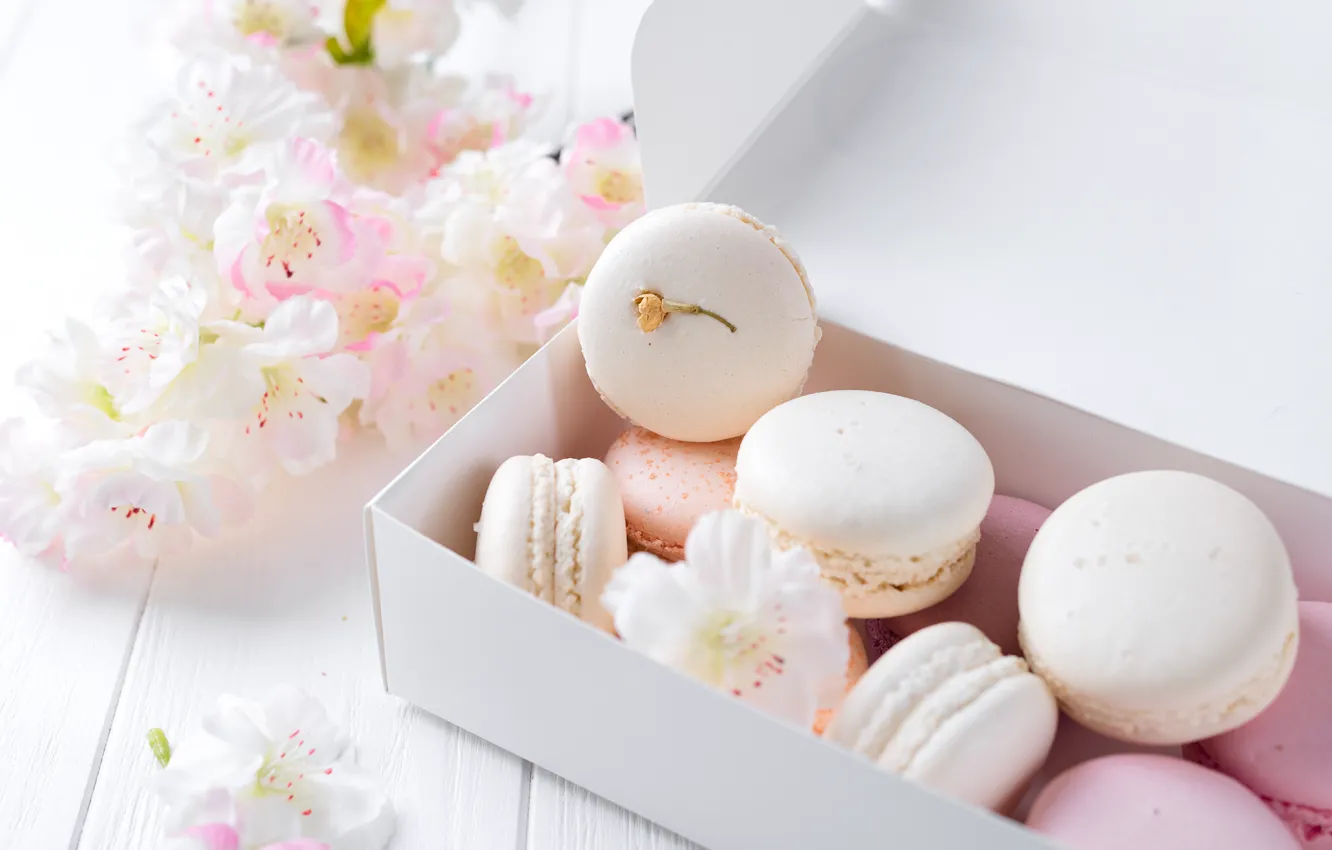 Photo wallpaper white, pink, flowers, french, macaron, pastel, macaroon