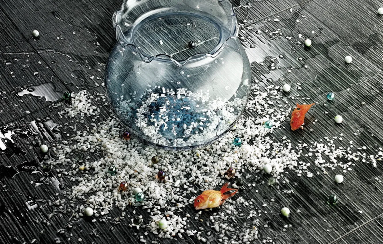 Photo wallpaper fish, mood, aquarium