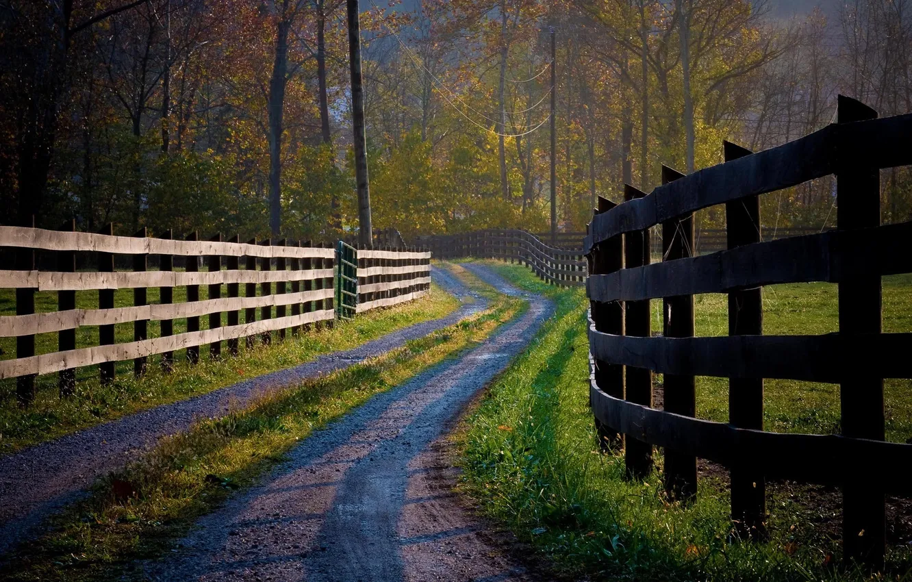 Photo wallpaper road, grass, trees, nature, photo, tree, road, fences