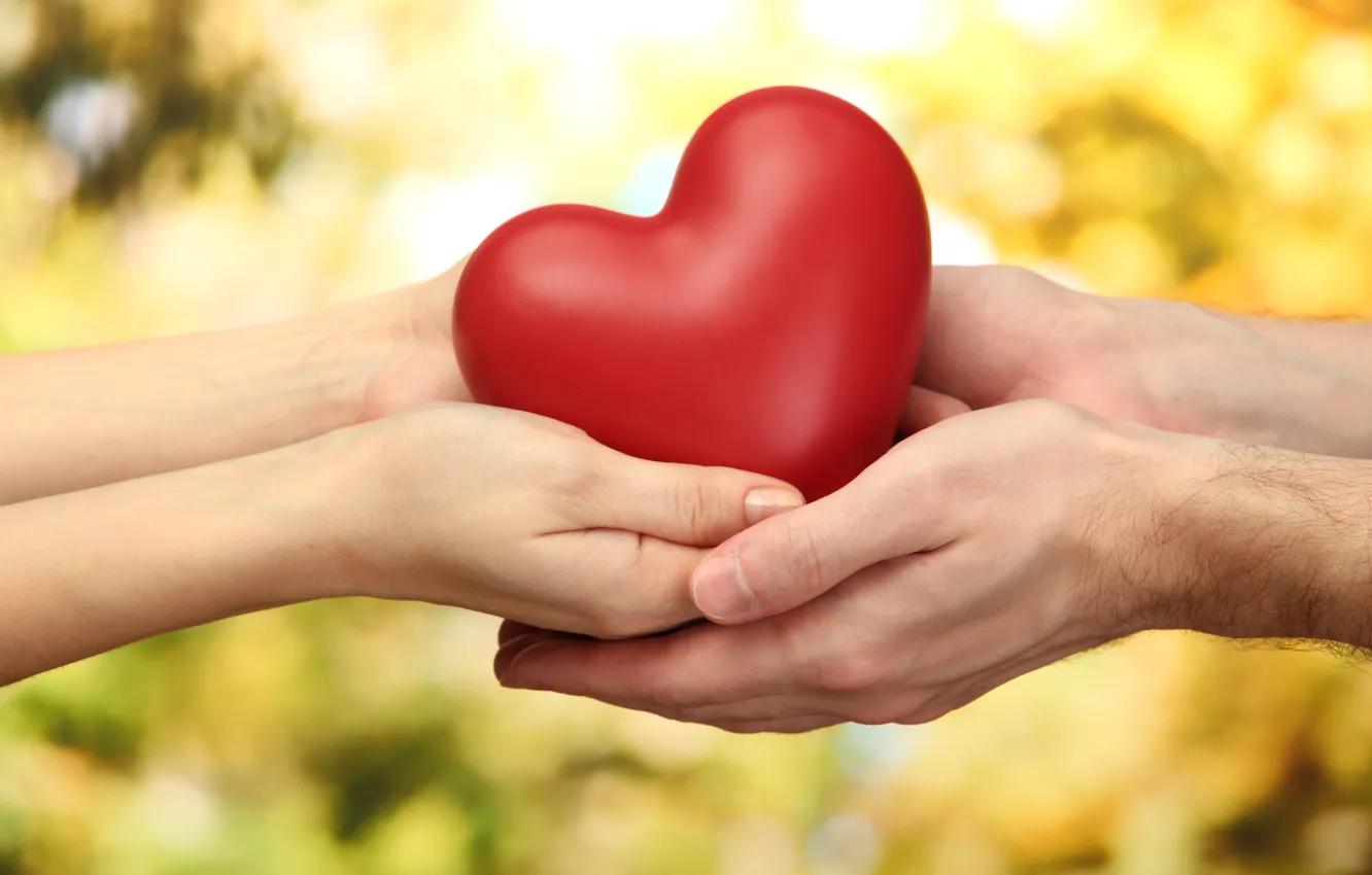 Photo wallpaper heat, heart, hands, pair, guy, evushka