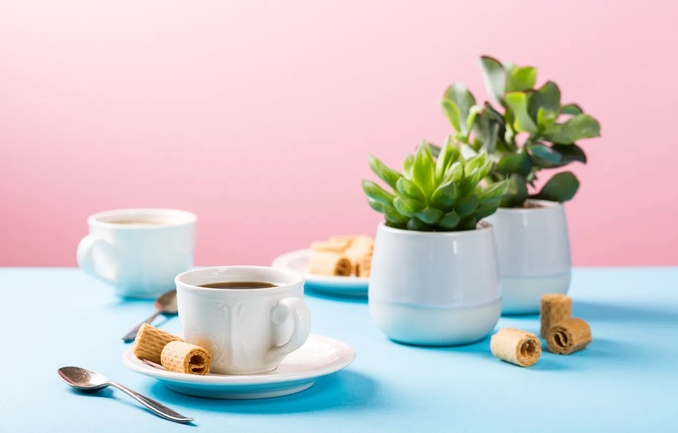 Photo wallpaper coffee, cookies, Cup, Iryna Melnyk