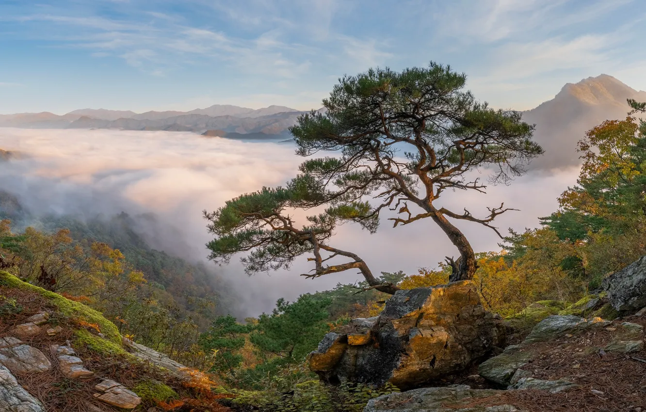 Photo wallpaper clouds, trees, landscape, mountains, nature, stones, rocks, South Korea