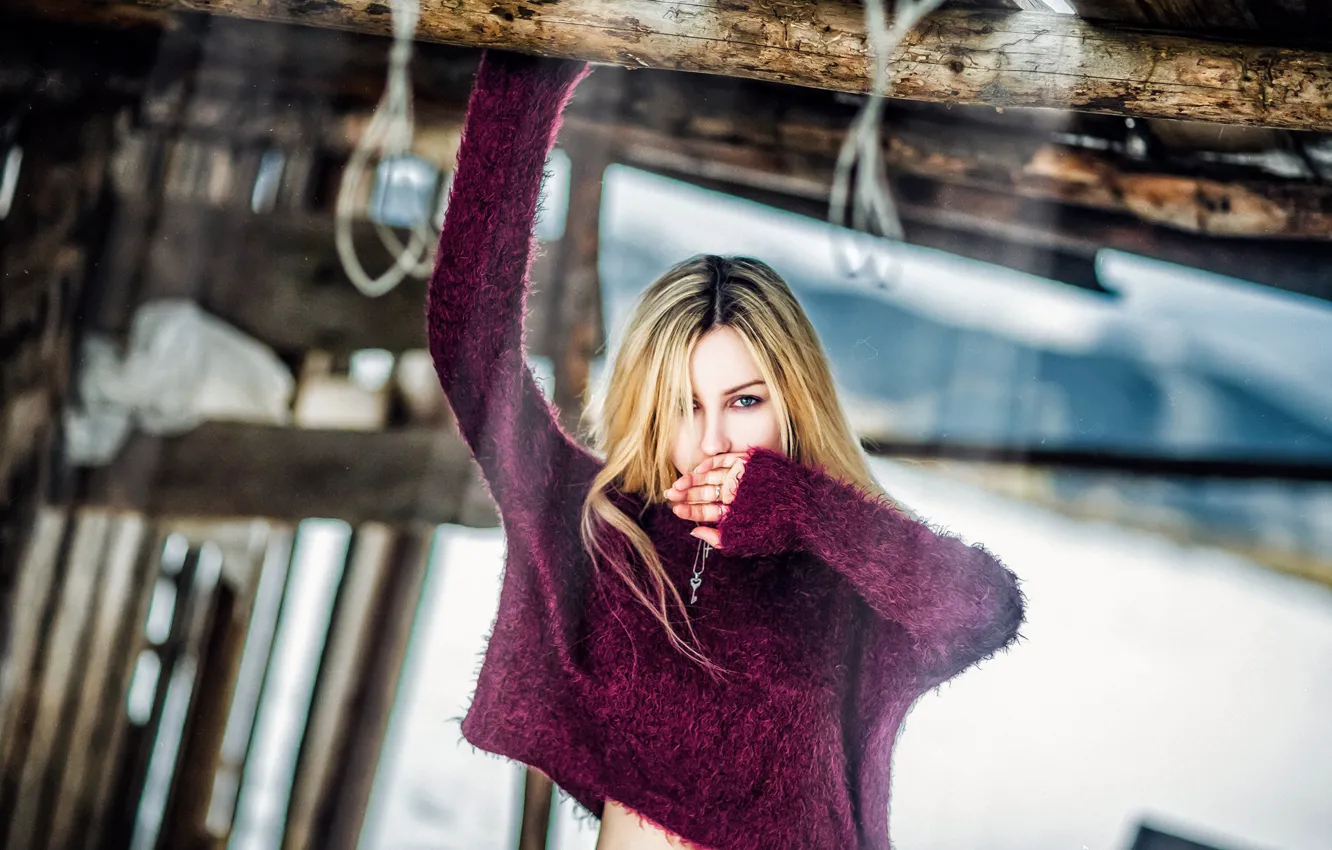 Photo wallpaper log, sweater, Veronica, the barn, look