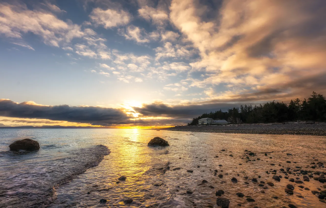 Photo wallpaper sea, wave, forest, the sky, the sun, clouds, light, sunset