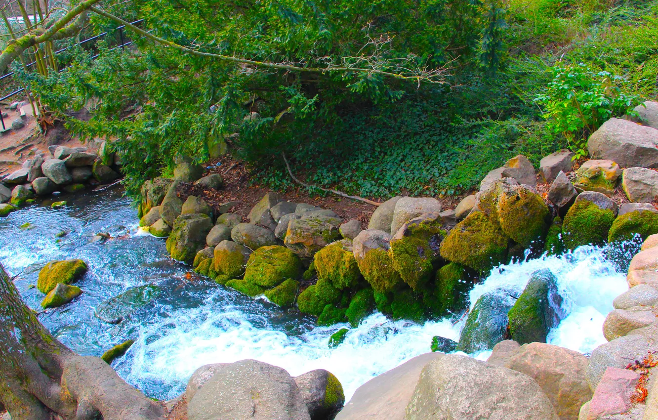 Photo wallpaper forest, park, waterfall